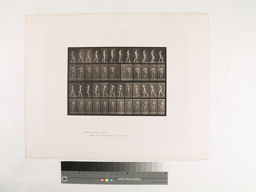 Animal Locomotion. Plate 548.