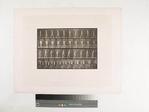 Animal Locomotion. Plate 550.