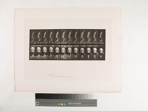 Animal Locomotion. Plate 558.