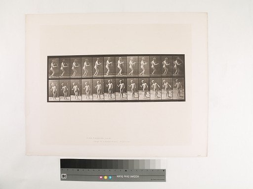 Animal Locomotion. Plate 561.