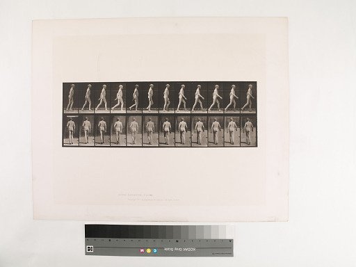 Animal Locomotion. Plate 562.
