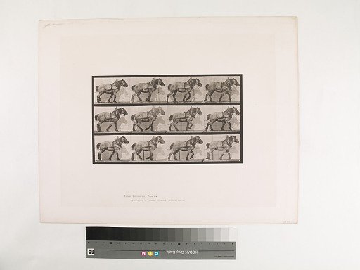 Animal Locomotion. Plate 565.