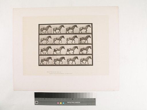 Animal Locomotion. Plate 569.