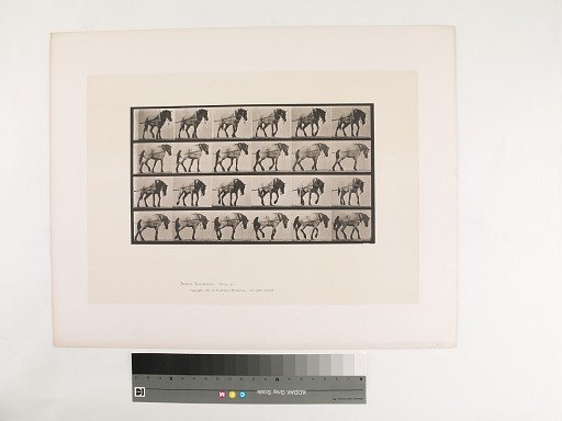 Animal Locomotion. Plate 570.