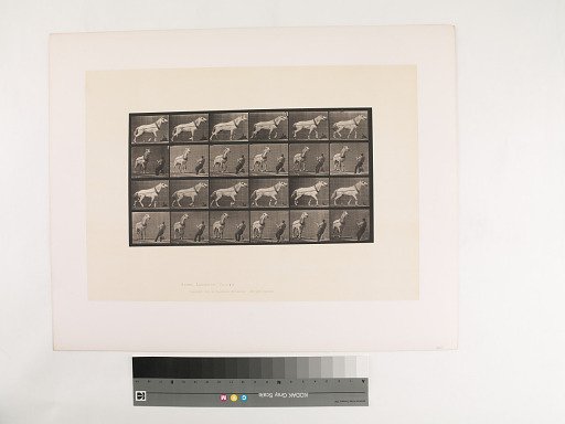 Animal Locomotion. Plate 573.