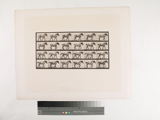 Animal Locomotion. Plate 574.