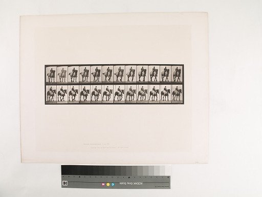 Animal Locomotion. Plate 578.