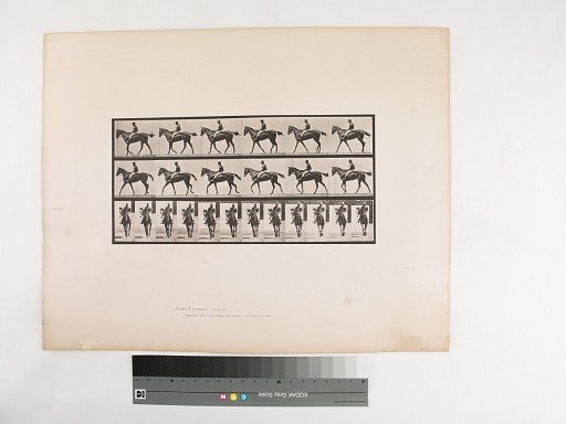Animal Locomotion. Plate 580.