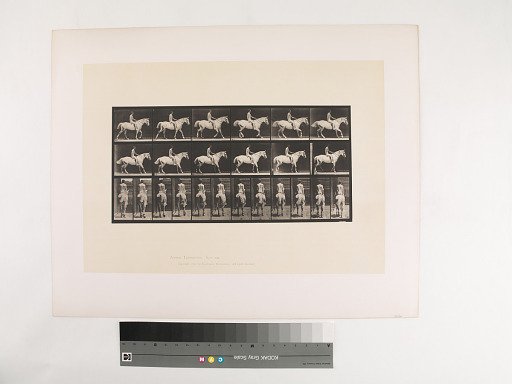 Animal Locomotion. Plate 582.