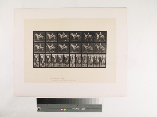 Animal Locomotion. Plate 583.