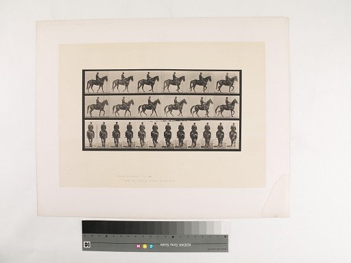 Animal Locomotion. Plate 584.