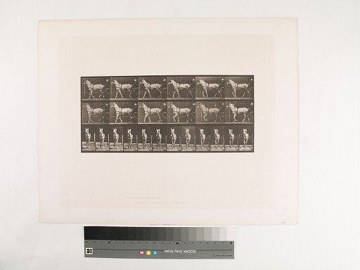 Animal Locomotion. Plate 586.