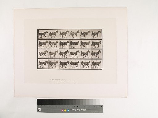 Animal Locomotion. Plate 587.