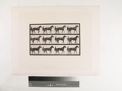 Animal Locomotion. Plate 588.