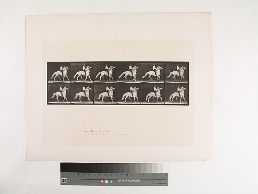 Animal Locomotion. Plate 589.