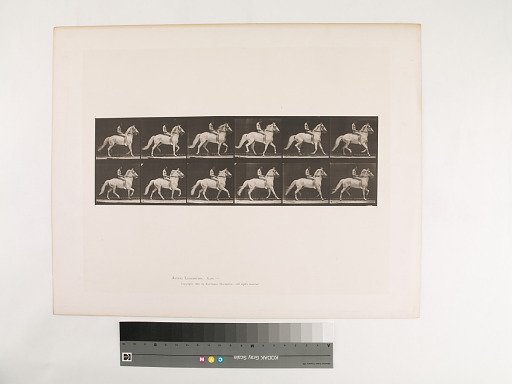 Animal Locomotion. Plate 590.