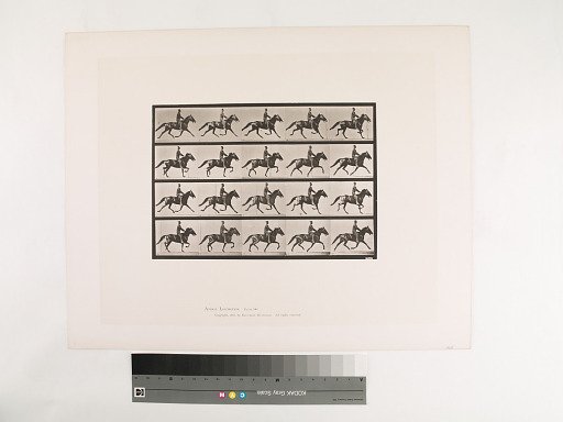 Animal Locomotion. Plate 591.