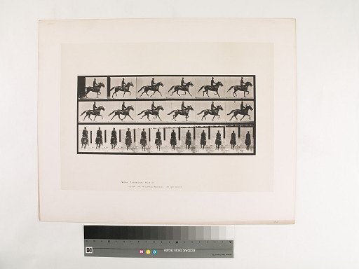 Animal Locomotion. Plate 592.