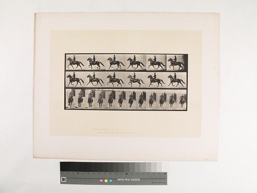 Animal Locomotion. Plate 593.