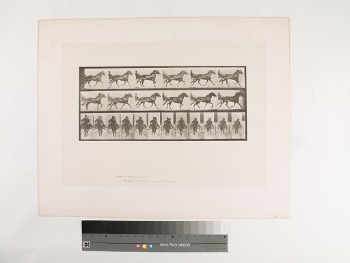 Animal Locomotion. Plate 594.