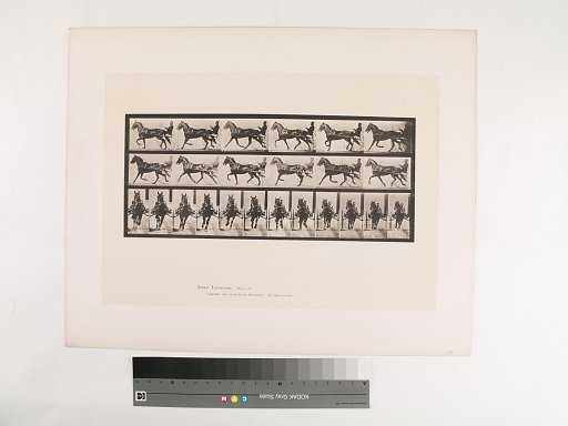 Animal Locomotion. Plate 595.