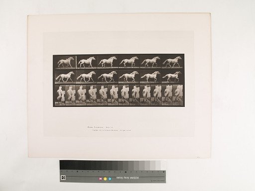 Animal Locomotion. Plate 596.