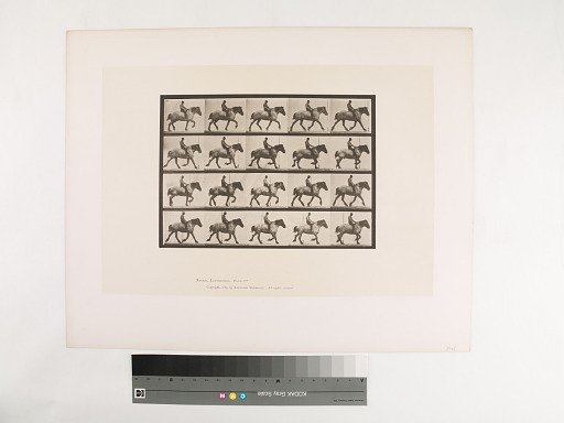 Animal Locomotion. Plate 597.