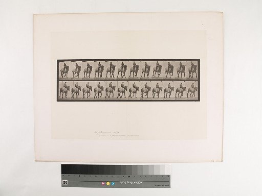 Animal Locomotion. Plate 599.