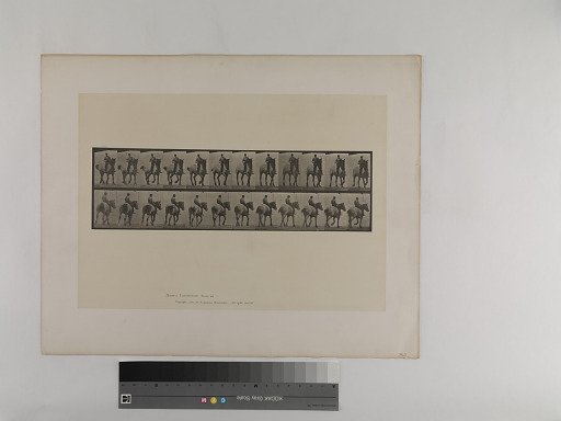 Animal Locomotion. Plate 600.