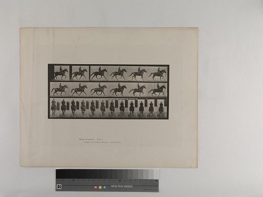 Animal Locomotion. Plate 601.