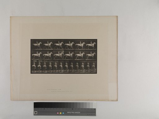 Animal Locomotion. Plate 602.