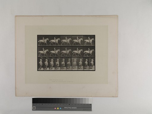 Animal Locomotion. Plate 603.