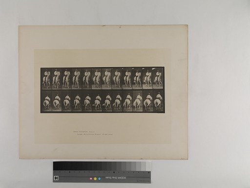 Animal Locomotion. Plate 604.