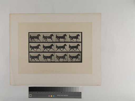 Animal Locomotion. Plate 606.