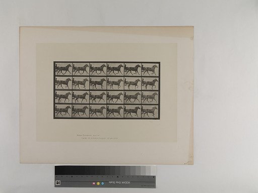 Animal Locomotion. Plate 607.