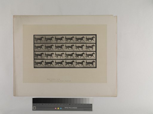 Animal Locomotion. Plate 608.