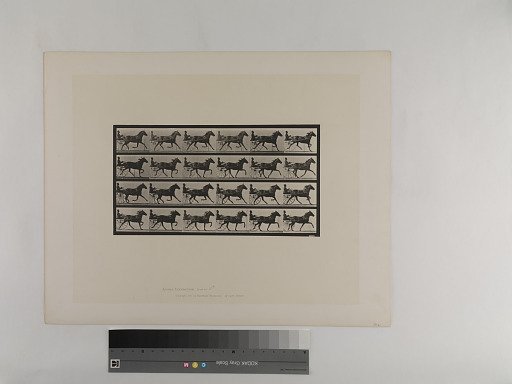 Animal Locomotion. Plate 609