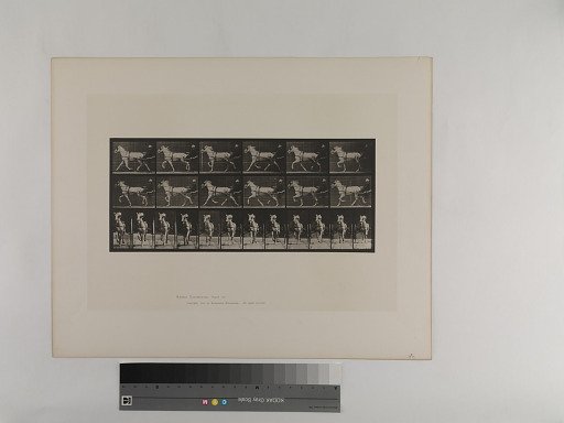 Animal Locomotion. Plate 610.