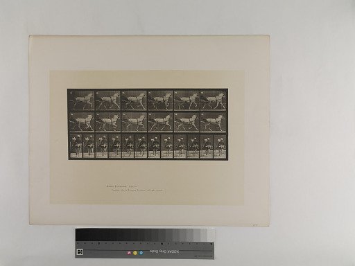 Animal Locomotion. Plate 611.