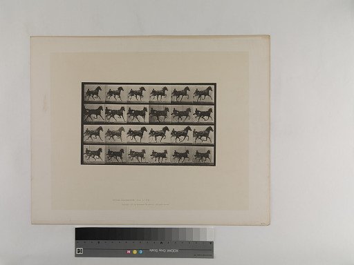 Animal Locomotion. Plate 613.