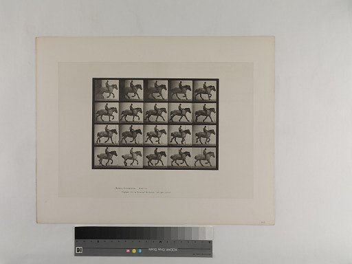 Animal Locomotion. Plate 615.