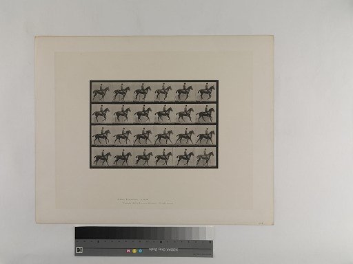 Animal Locomotion. Plate 616.