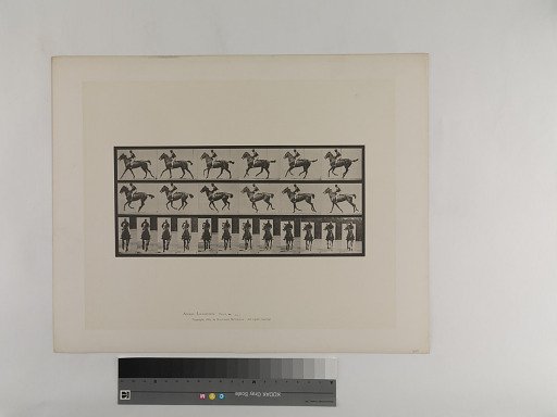 Animal Locomotion. Plate 621.