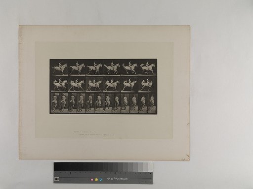 Animal Locomotion. Plate 622.