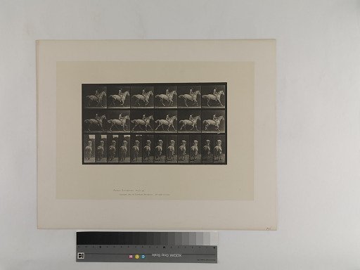 Animal Locomotion. Plate 623.