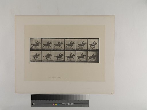Animal Locomotion. Plate 624.