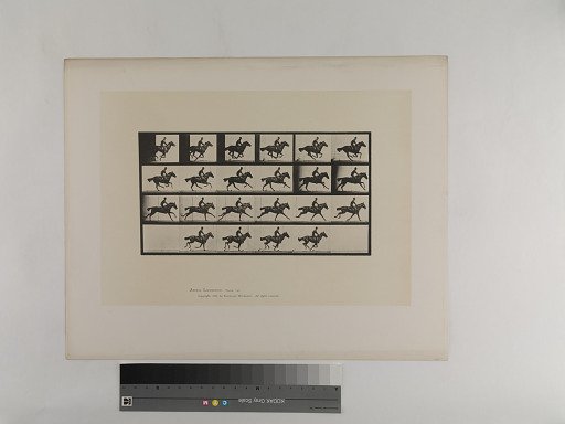 Animal Locomotion. Plate 625.
