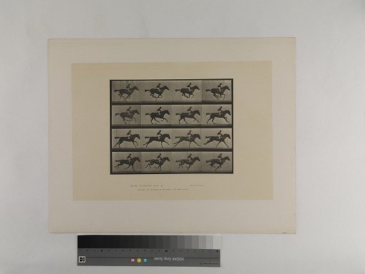 Animal Locomotion. Plate 626.