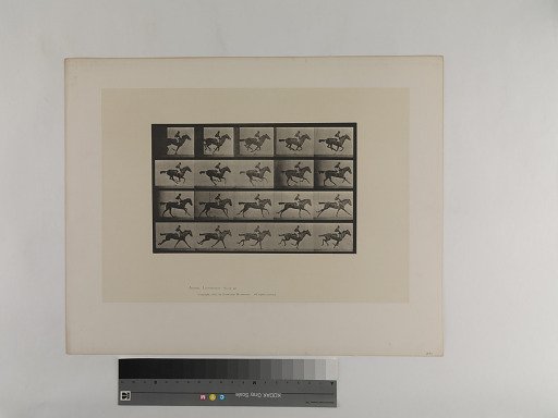 Animal Locomotion. Plate 627.