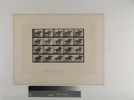 Animal Locomotion. Plate 628.